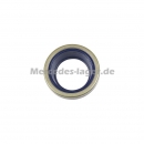 Dichtring 0019973446