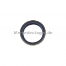 Dichtring 0019974746
