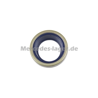 Dichtring 0019973446