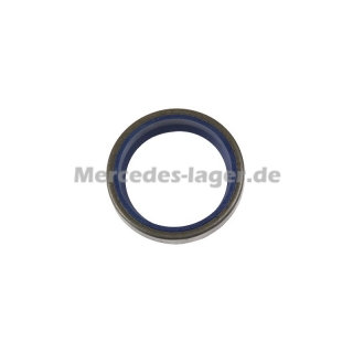 Dichtring 0019974746